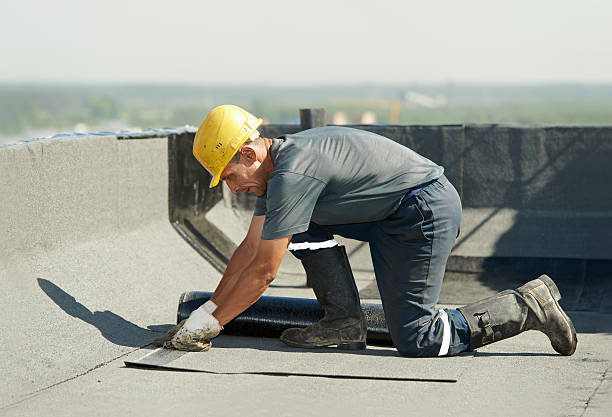 Best Insulation Contractors for Homes  in Chelsea Cove, NY